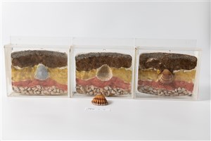 Image description is not available for 1998.3.7